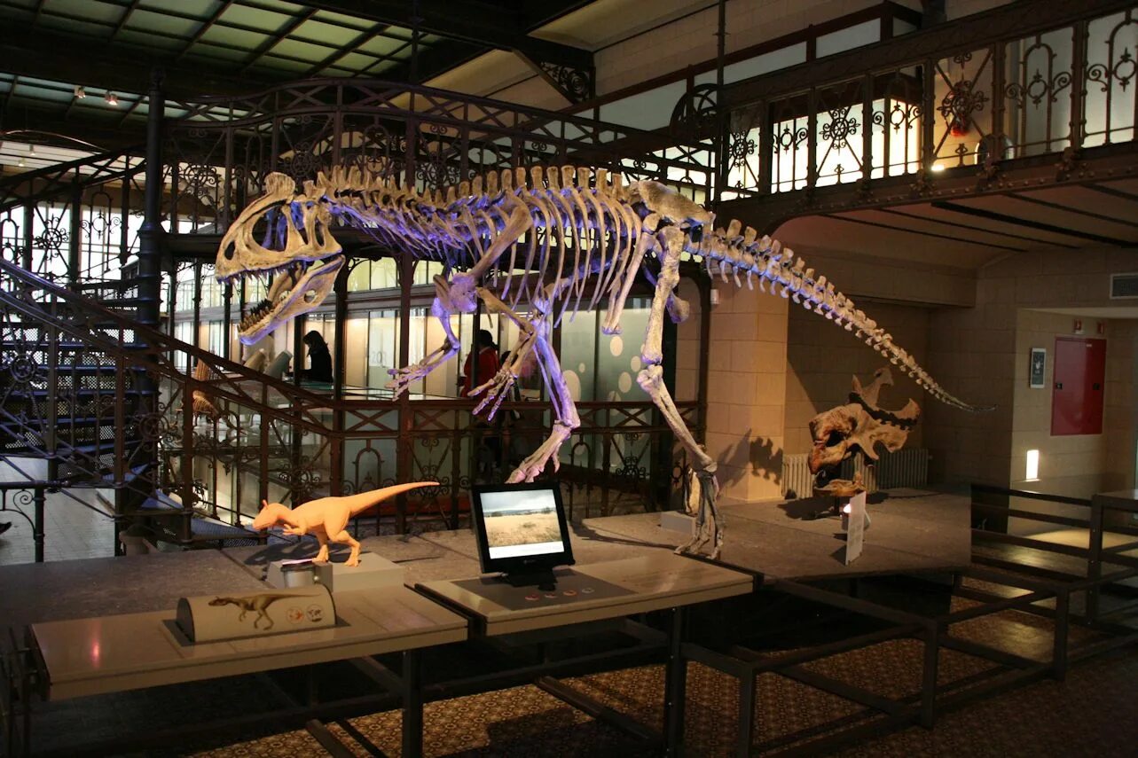 Museum trip