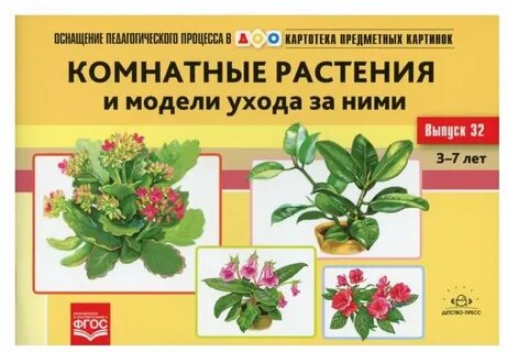 Измерение комнатных растений биология 5