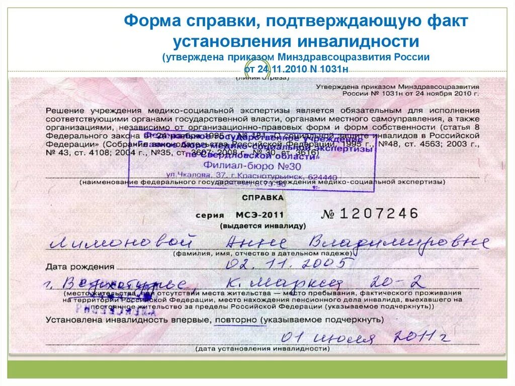 Индивидуальная программа выдается