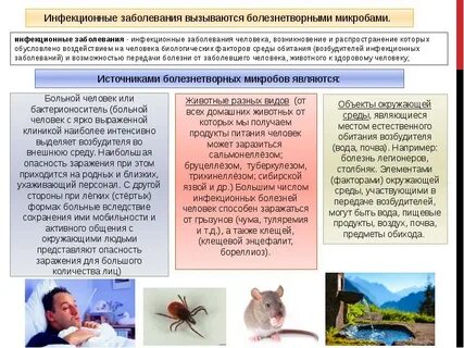 Чем вызываются инфекционные заболевания