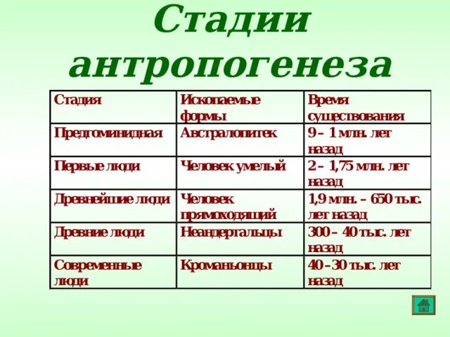 Верная последовательность антропогенеза. Этапы антропогенеза. Основные этапы антропогенеза. Основные стадии антропогенеза. Все стадии антропогенеза.