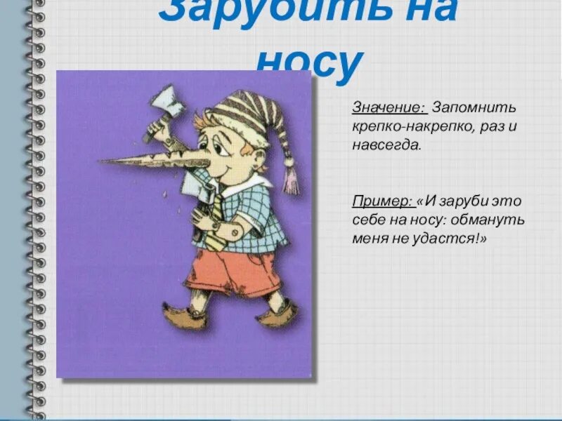 Фразеологизм зарубить на носу. Предложение с фразеологизмом зарубить на носу. Заруби на носу предложение. Заруби на носу фразеологизм. Зарубить на носу предложение