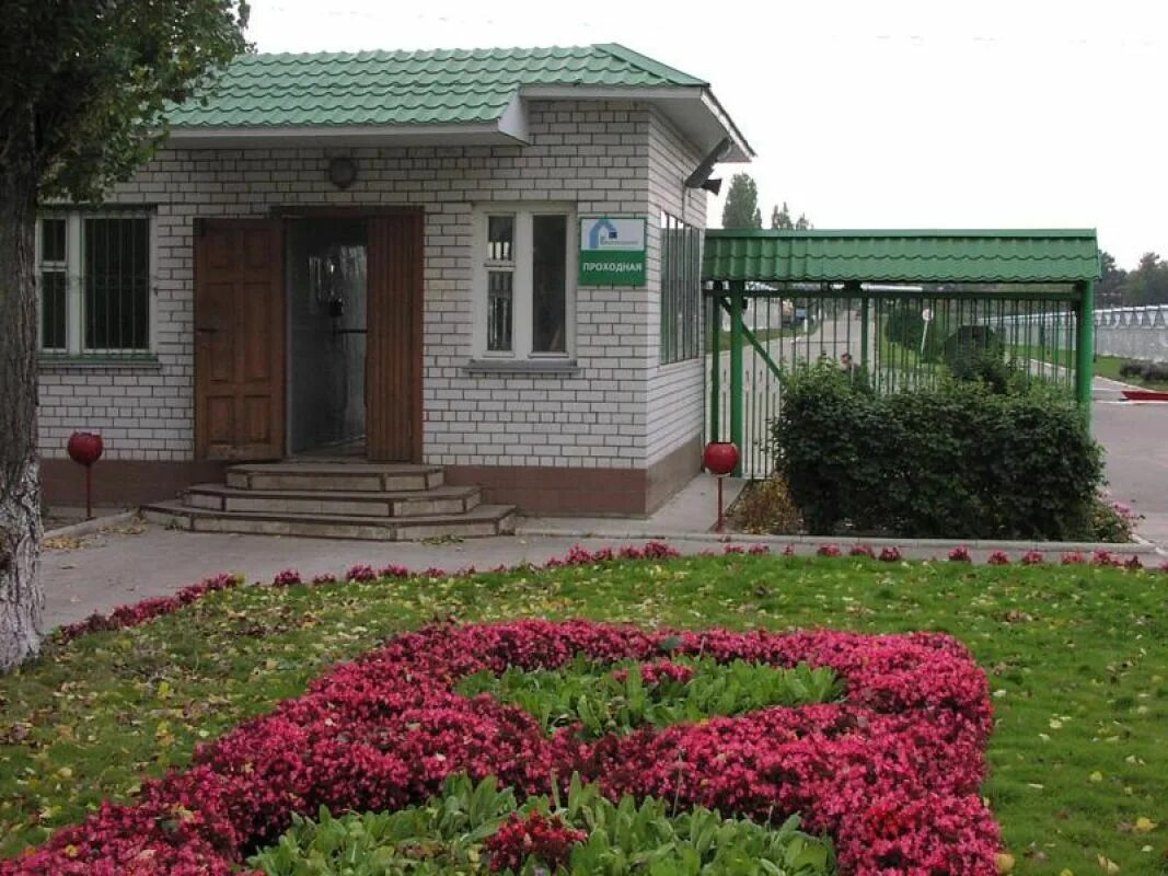 Спк тепличный воронеж. Спк санкт петербург. Ооо альфа дизель. Спк воронеж. Тепличный комплекс воронежский бобров.