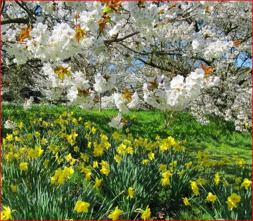 Апрель природа. Середина весны. Зима переходящая в весну. Весенние прелести. Зима лето.