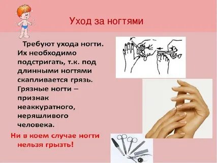 Уход за кожей и волосами биология