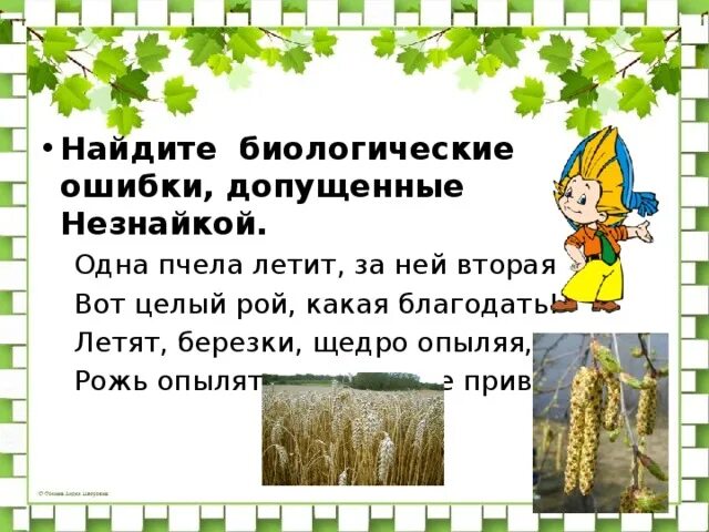 Найдите и исправьте биологические ошибки. Найдите и исправьте биологические ошибки