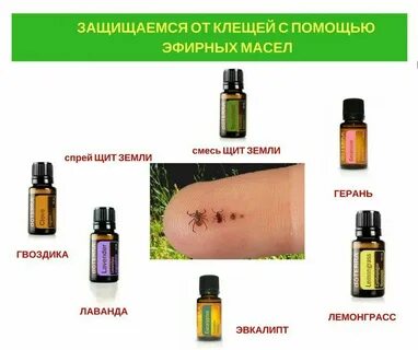 Эфирные масла от клещей
