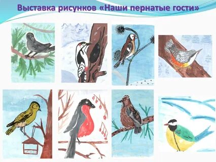 Пернатые гости 3 класс