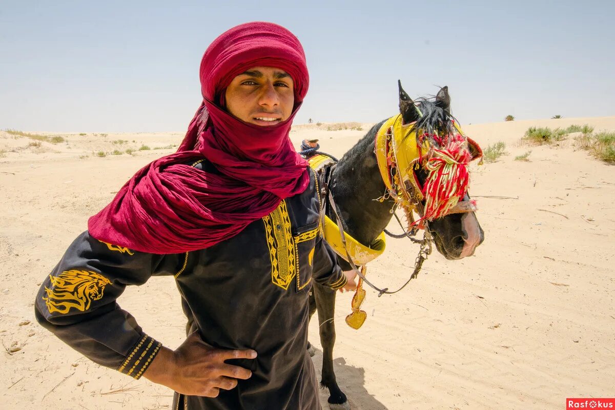 какое население туниса. население туниса 2022. какое население туниса. какое население туниса. культура туниса.