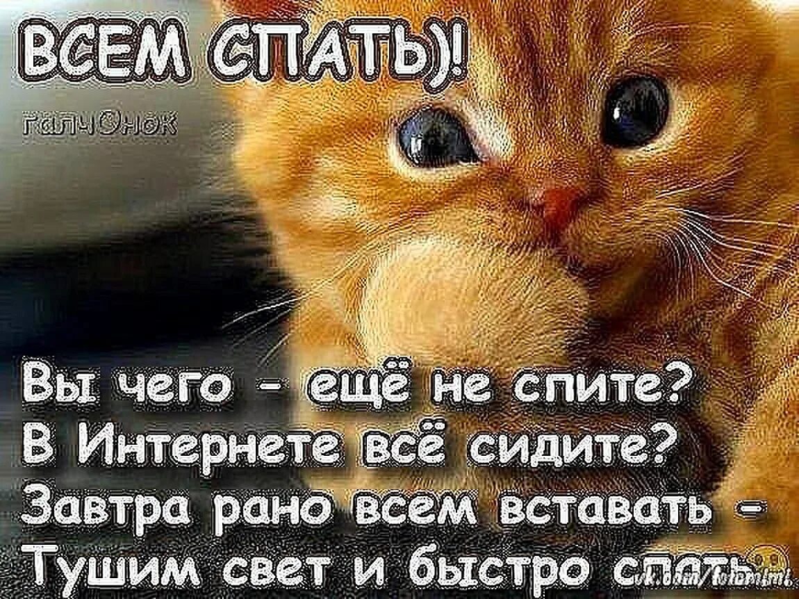 Давай скорей найди