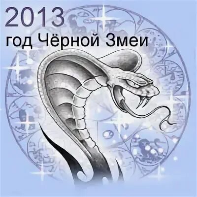 2013 год какого