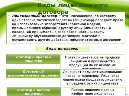 Лицензионный договор на сайт