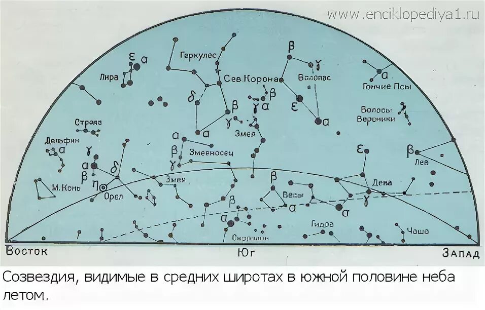 Созвездия над нами текст. Созвездия над горизонтом на карте звездного неба. Карта звездного неба на Северном полюсе. Созвездия над Западной Сибирью. Карта неба над горизонтом.