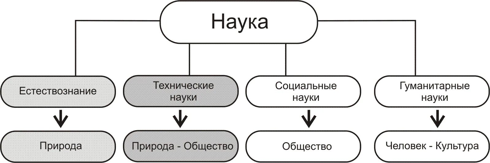 Назовите 2 естественные науки. Гуманитарные науки дисциплины. Естествознание и Гуманитарные науки. Социально Гуманитарные науки. Естественные Гуманитарные технические и социальные науки.