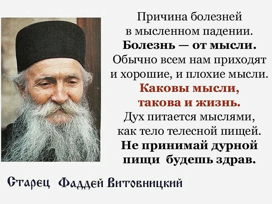 Свт. Фаддей витовницкий духовные поучения. Архимандрит алипий псково-печерский монастырь. Сербский старец архимандрит фаддей витовницкий. Наставления в духовной жизни.