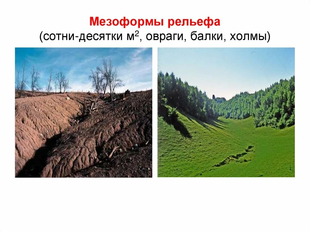Выберите формы рельефа созданные ветром овраги. Мезоформы рельефа. мегаформы рельефа. овраги и балки. наноформы рельефа.