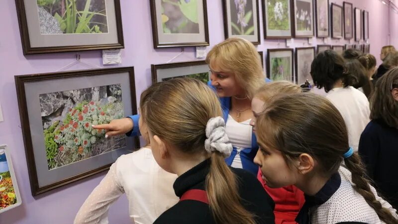 Выставка цветы заполярья. Цветы в музее. фотовыставка цветущий май. разнообразие учащихся. гимназия 3 мурманск.