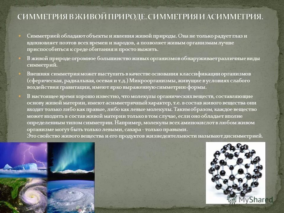 явления живых организмов. явления в биологии. явления живых организмов. биологические явления природы. наследственность свойство живых организмов.