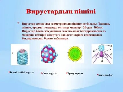 Нацистік порно 41 45