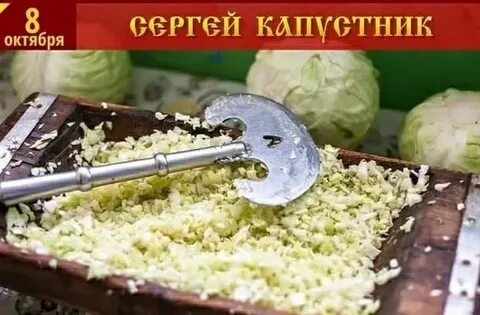 День капусты 16 ноября