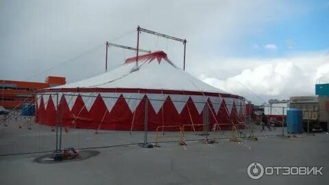 Цирк у мегаторга