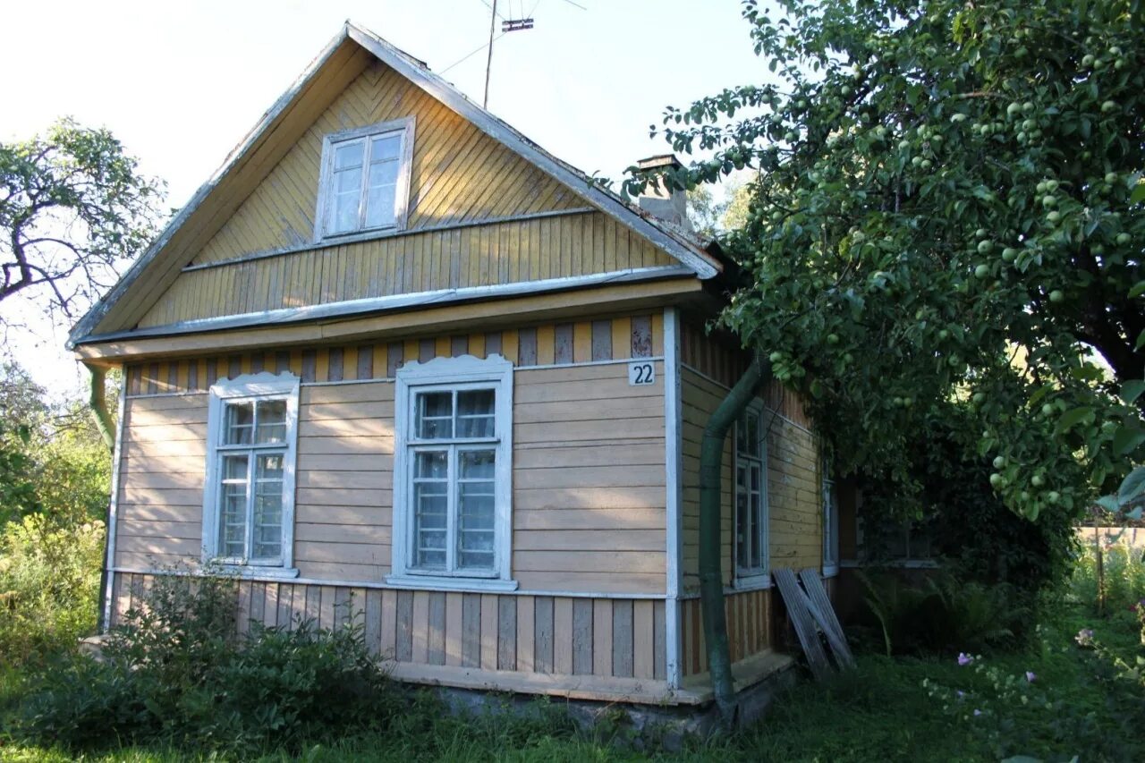 Тайцы островского 71. Пос. Гатчинский р н тайцы. Тайцы гатчинского района. Тайцы (ленинградская область) гатчинского района.