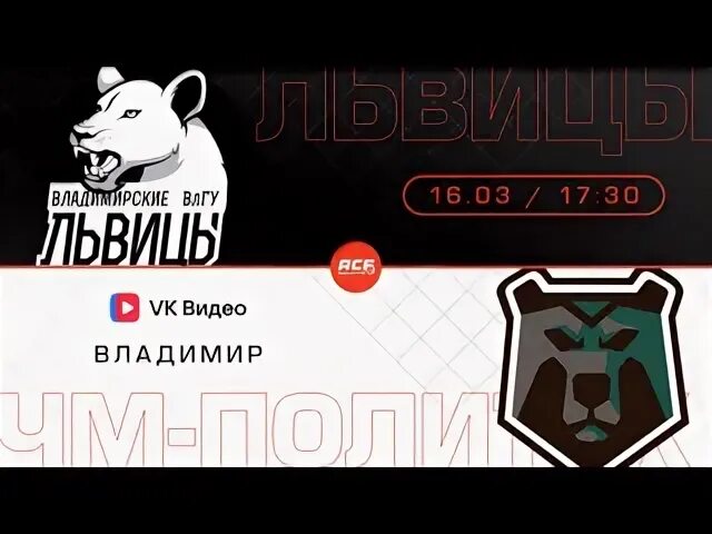 Владимирские львицы