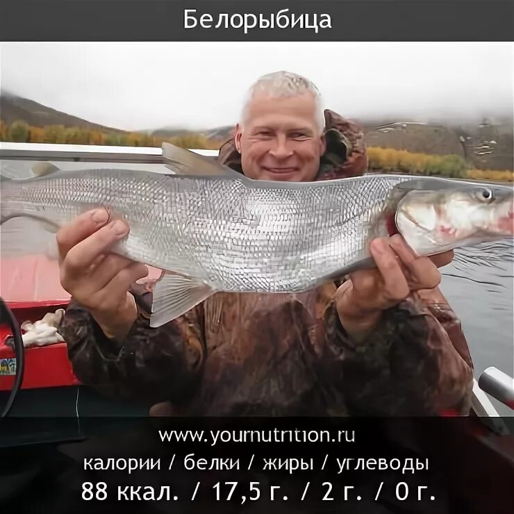 Продать белорыбицу