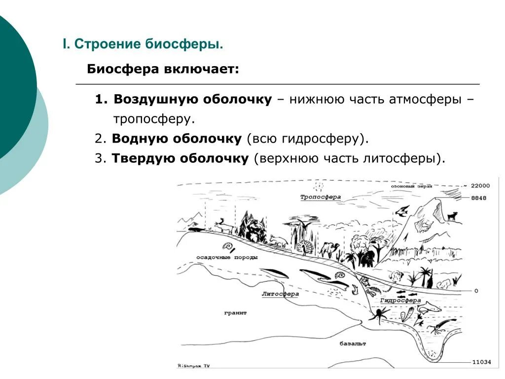 2 биосфера включает. Структура биосферы. Границы биосферы схема. Биосфера включает. Строение биосферы схема.