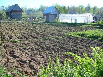 Дачных садовых и огородных земельных