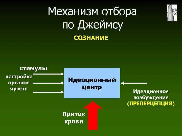 Проблема связи времен. Преперцепция. Сознание по Джеймсу. Идеационный.