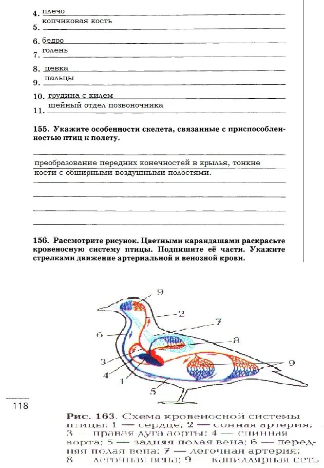 Контрольная работа по теме птицы 8 класс. Биология 7 класс захаров сонин. внешнее строение птицы биология 7 класс пасечник. птицы биология 7 класс. строение птиц задание.
