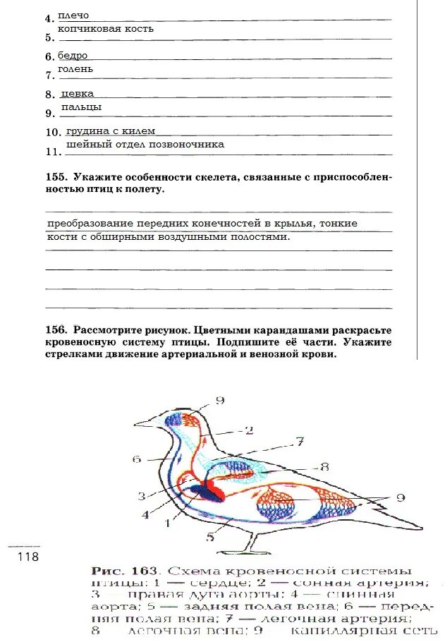 Биология 7 класс Захаров Сонин. Строение птицы 7 класс биология. Внешнее строение птицы биология 7 класс Пасечник. Строение птиц задание.