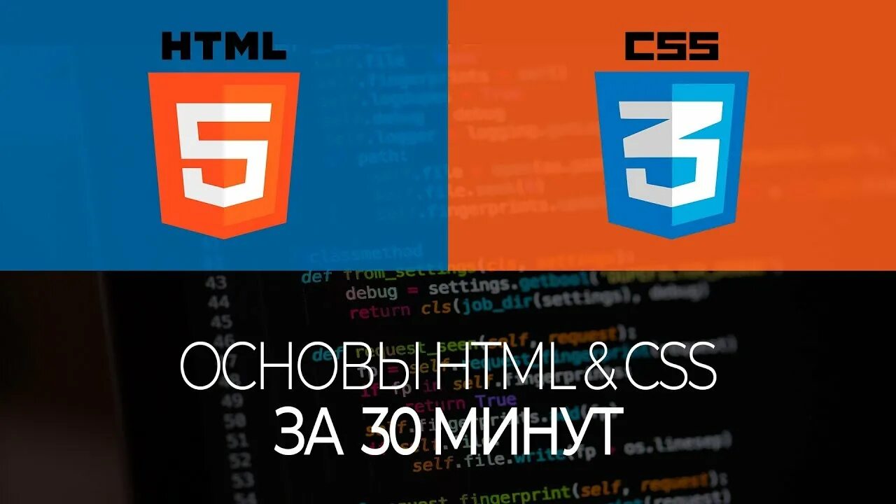 Html основы курсы. Html основы курсы