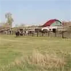 Пашково курганская область
