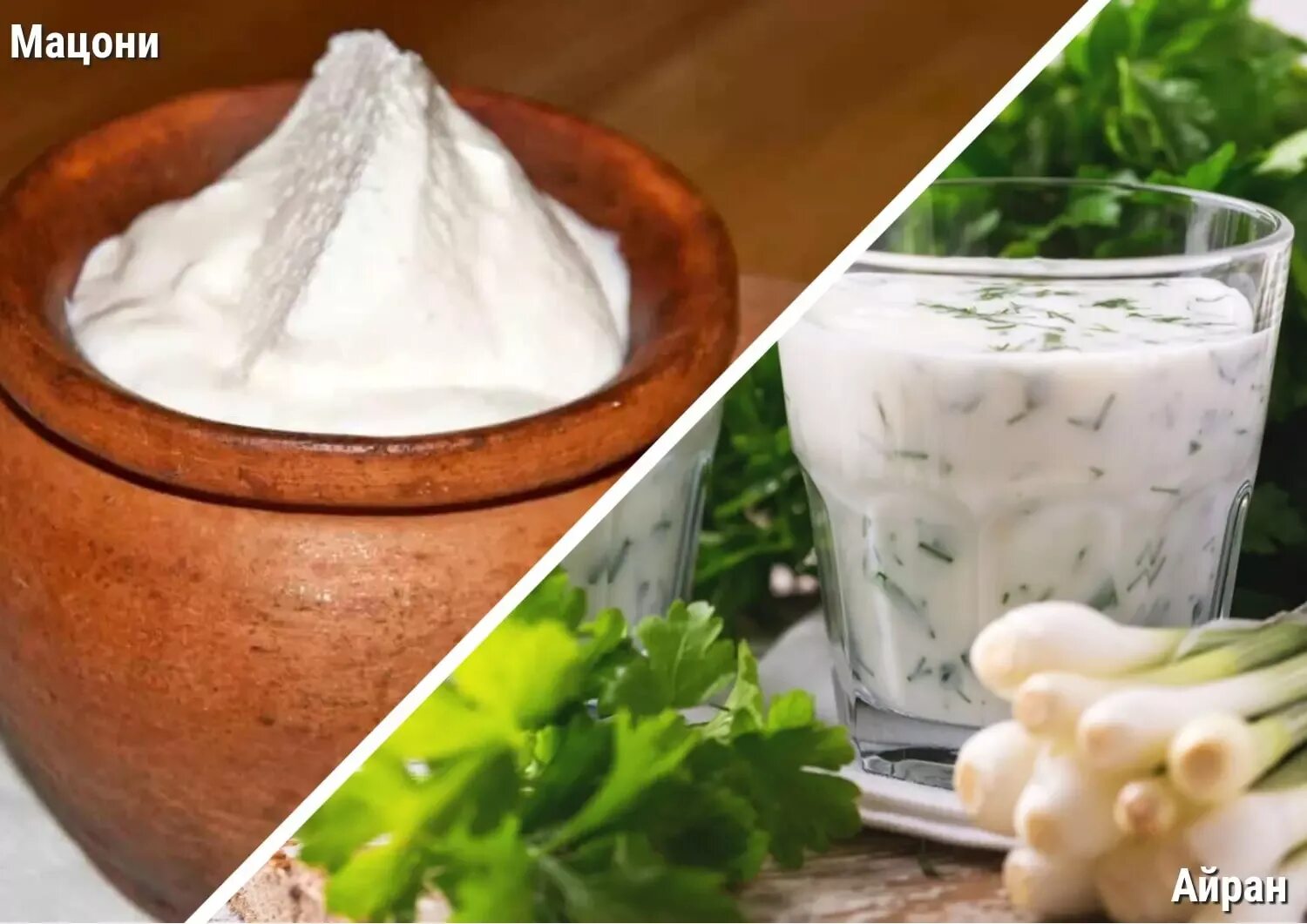 Мацони дома. Мацун. Что такое мацони мацони. Армянский катык. Мацони термостатный.