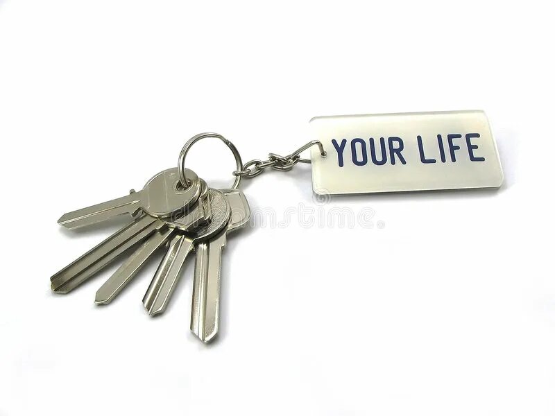 Life is a key. Key of Life. Устройство Life Key. «Life-Key»  или  («ключ  жизни»).. Key of castigation.