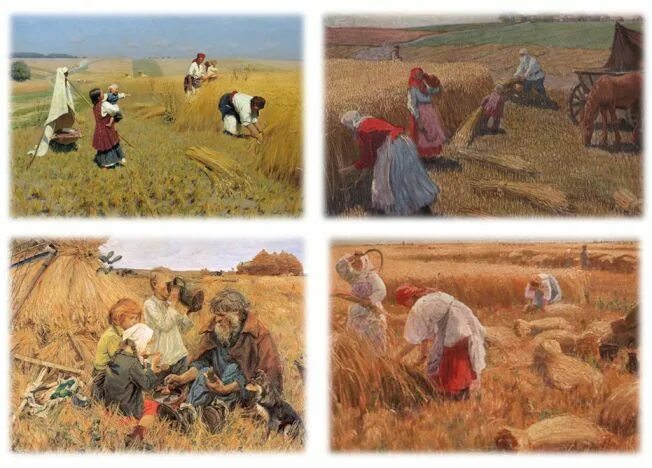 Н карачарский на полях чувашии. Мичурин жатва. Мичурин жатва. Мичурин коллекционер. Социалистический реализм художники-соцреалисты ссср.