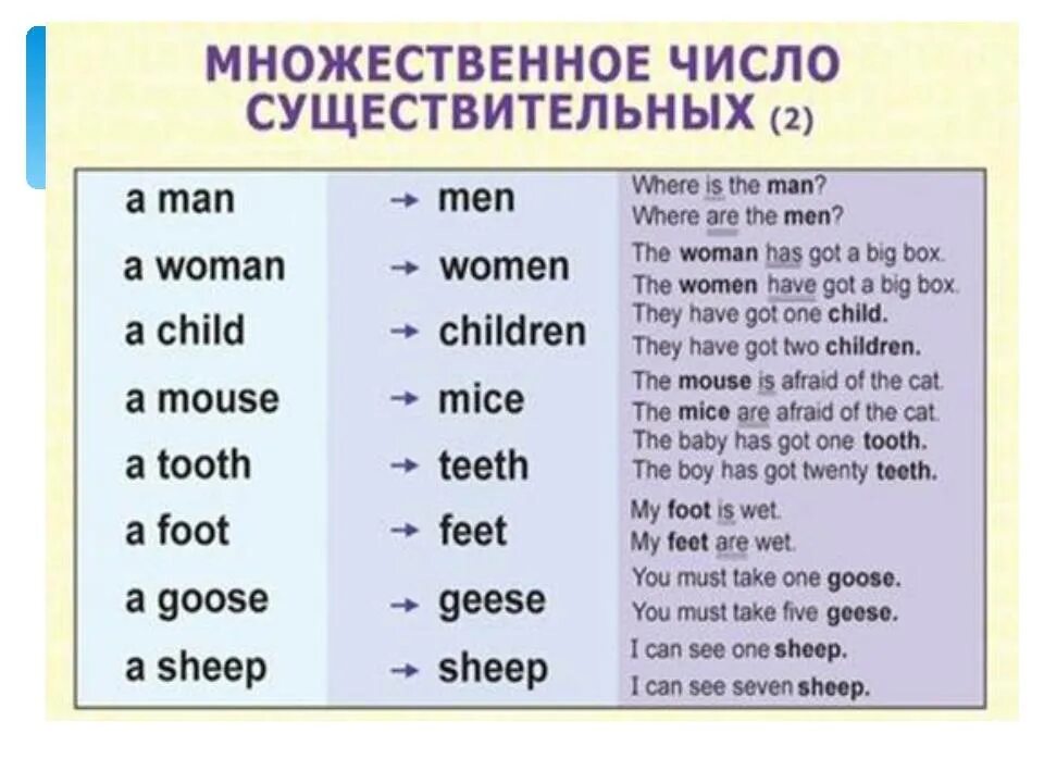 Mouse множественное число в английском языке. Существительные во множественном числе в английском. Мыши по английскому во множественном числе. Множественное число в английском языке таблица.