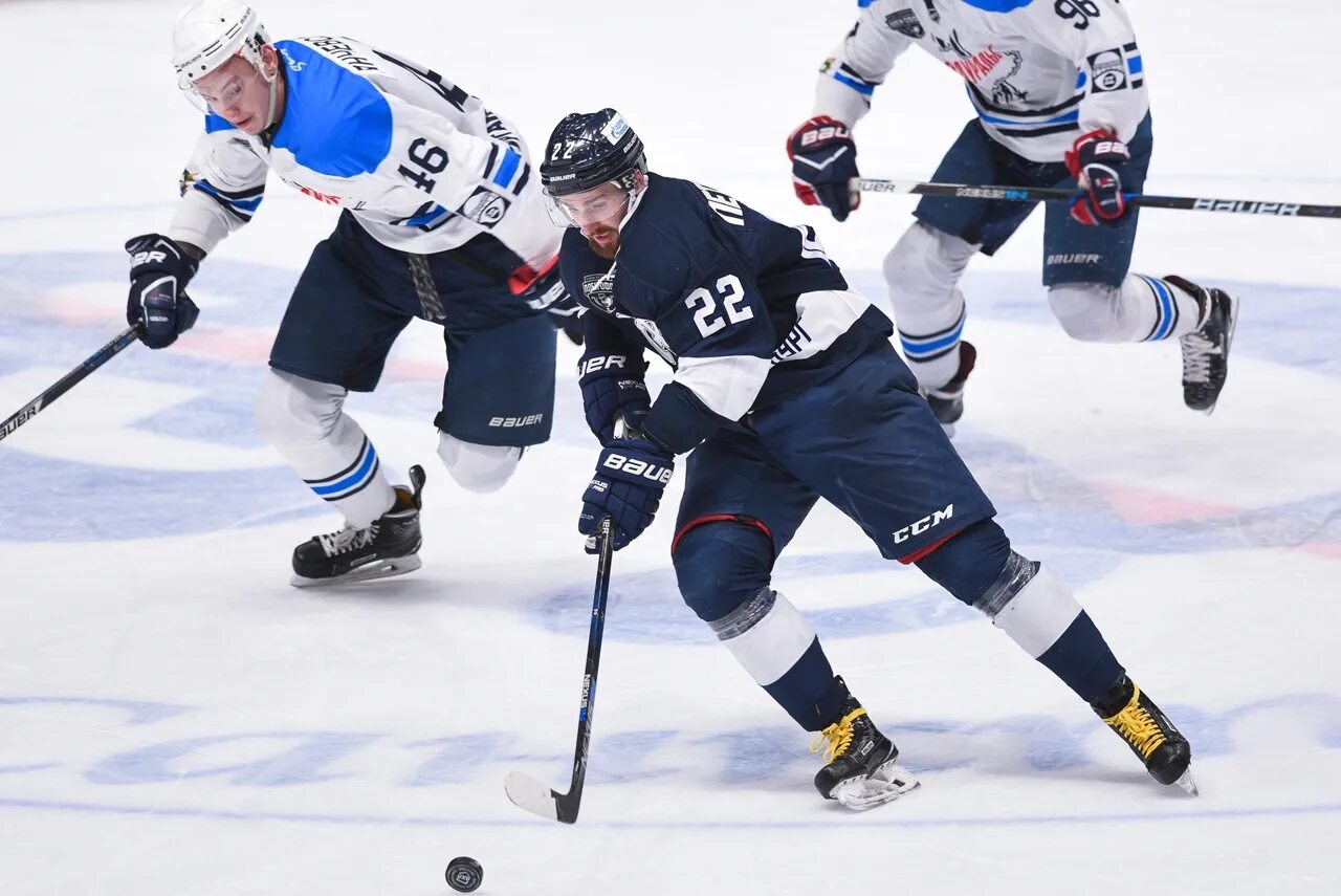 динамо спб вхл. зауралье динамо спб прогноз. поле динамо спб.