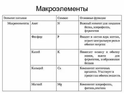 Все макроэлементы в живых организмах