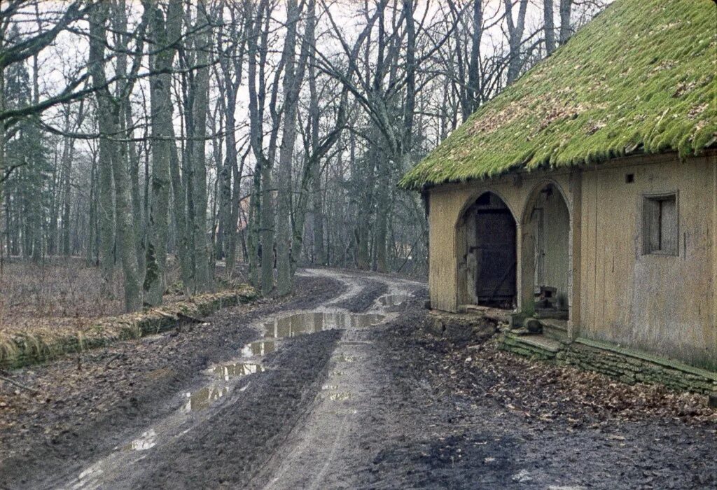 шерлок хомс собака баскервилей замок. собака баскервилей фильм 1981. поместье баскервиль холл. замок баскервилей. шерлок хомс собака баскервилей замок.
