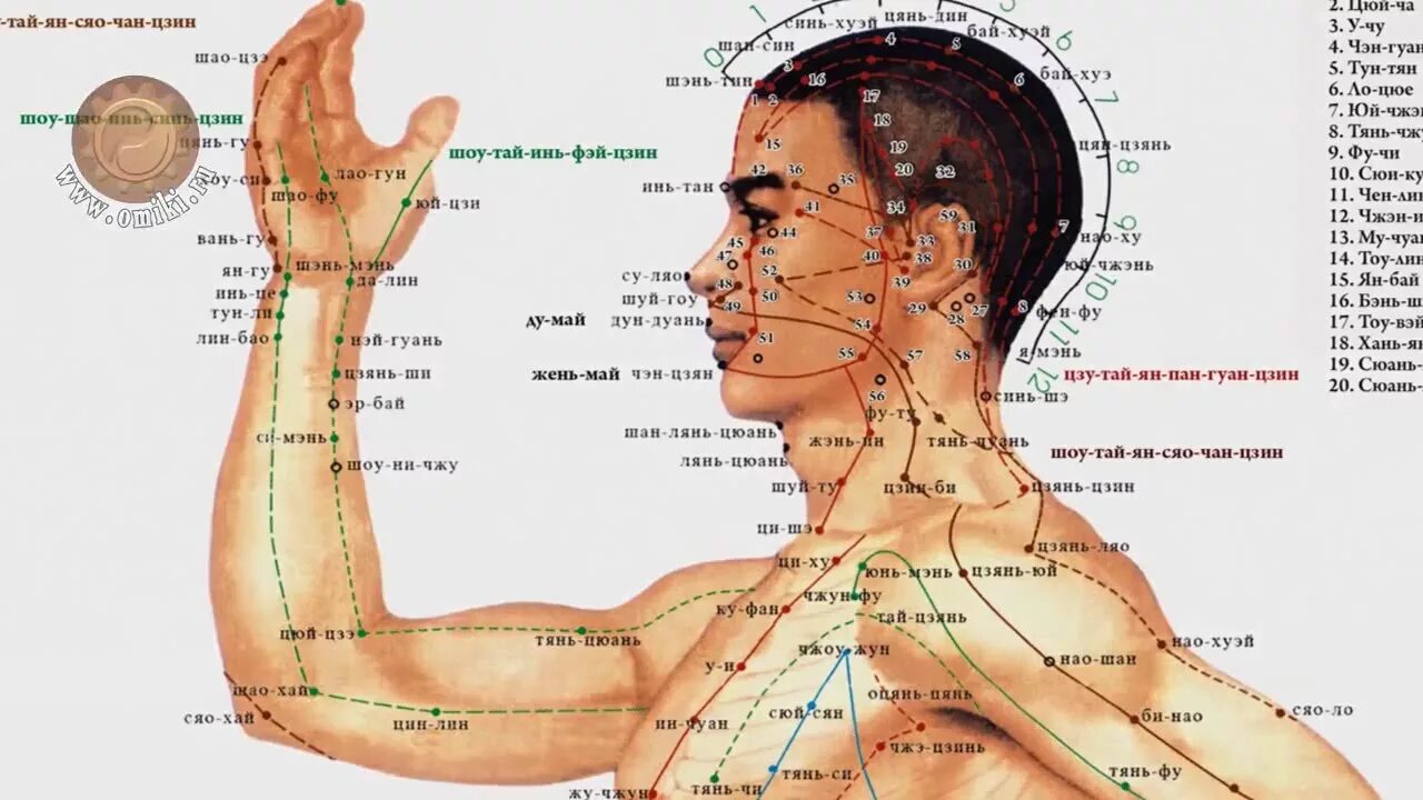 Цзин мин акупунктурная точка. Точка Лао Гун акупунктура. Вэй Чжун точка акупунктуры.