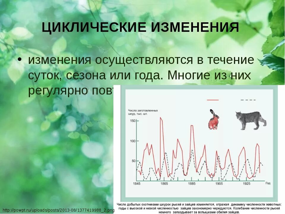 Годовое изменение в жизни животных. Циклические изменения экосистем. Суточные и сезонные изменения биогеоценозов. Циклические изменения биогеоценозов. Сезонные циклические изменения.