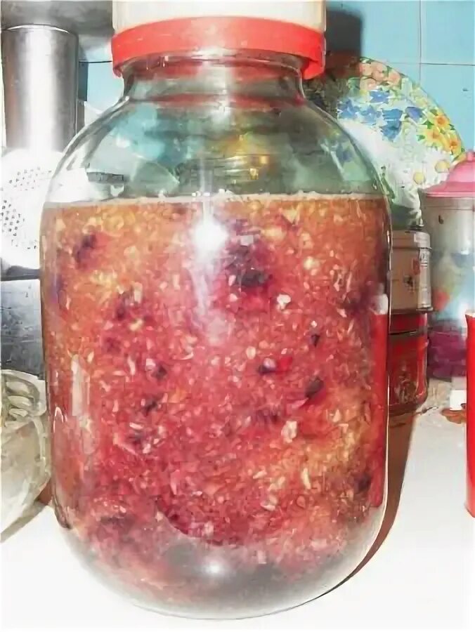 Брага из яблочного жмыха на дрожжах. Жмых от браги. Брага на яблоках для самогона. Жмых из соковыжималки. Измельчение яблок для браги.