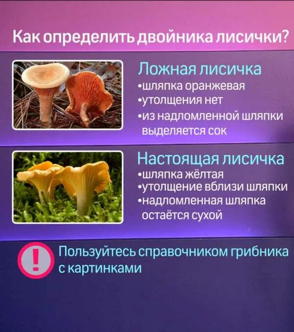 Как отличить съедобные от несъедобных. Как отличить съедобные от несъедобных