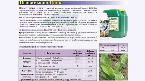 Синтез хлорофилла в растениях