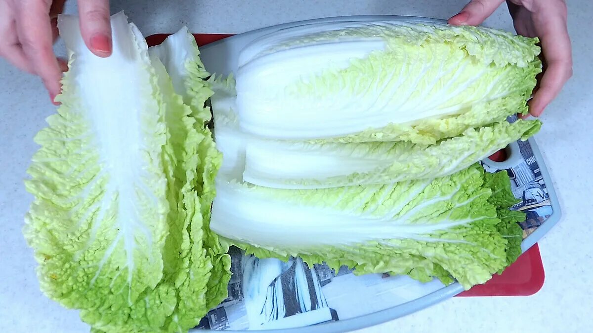 Можно ли собакам пекинскую капусту