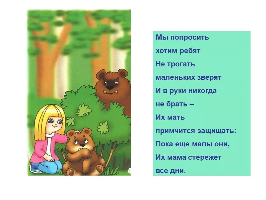 Не трогай не воняет. Правила поведения на природе. Правила поведения в лесу для детей. Правила поведения с животными для детей. Правило для детей не трогать животных в лесу.