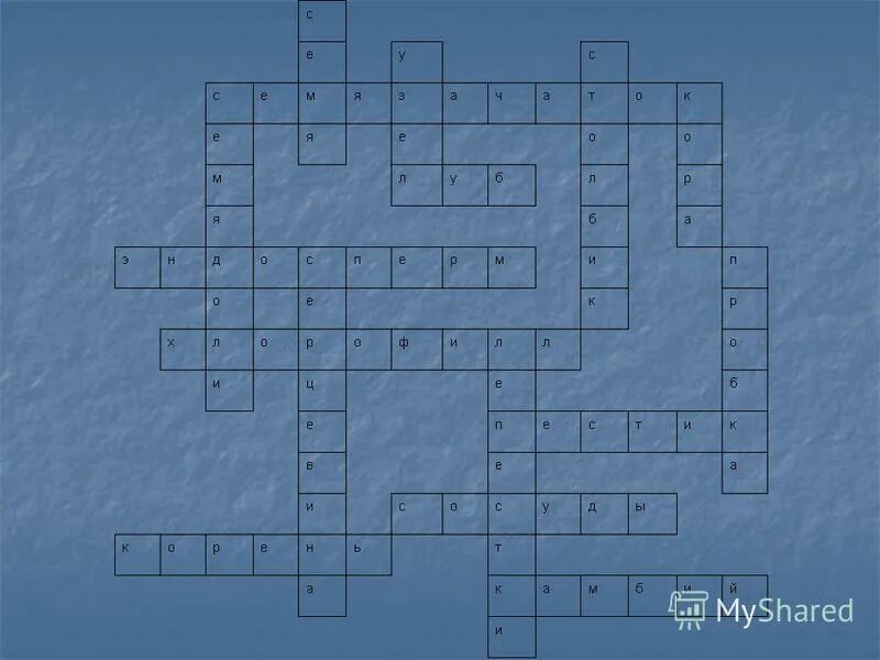 Многоклеточное образование из которого развивается семя. Бластоцель строение. Клеточные пласты. Схема двойного оплодотворения у покрытосеменных растений. Бластоцель и бластопор.